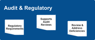 Audit and Regulatory