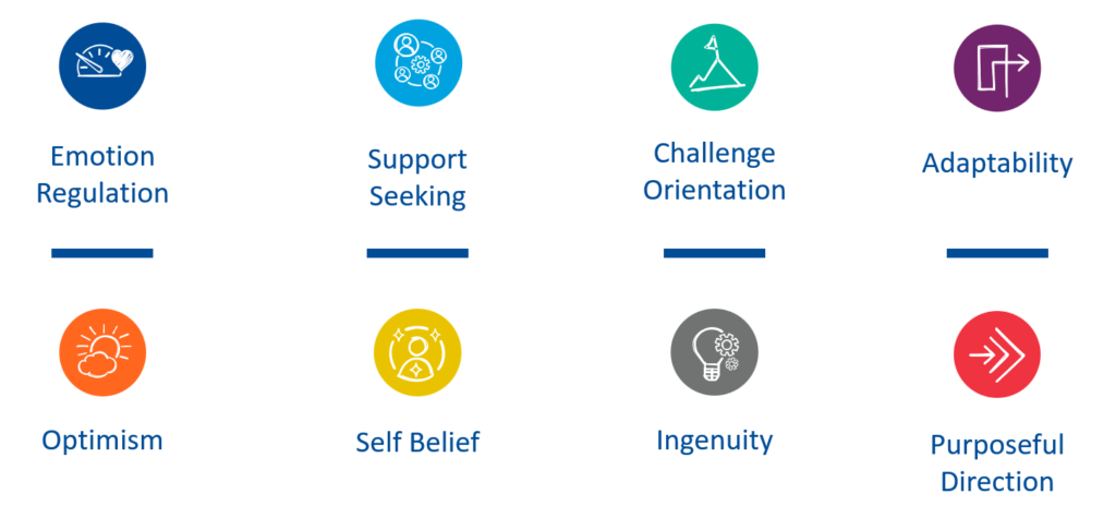 Components of Resilience